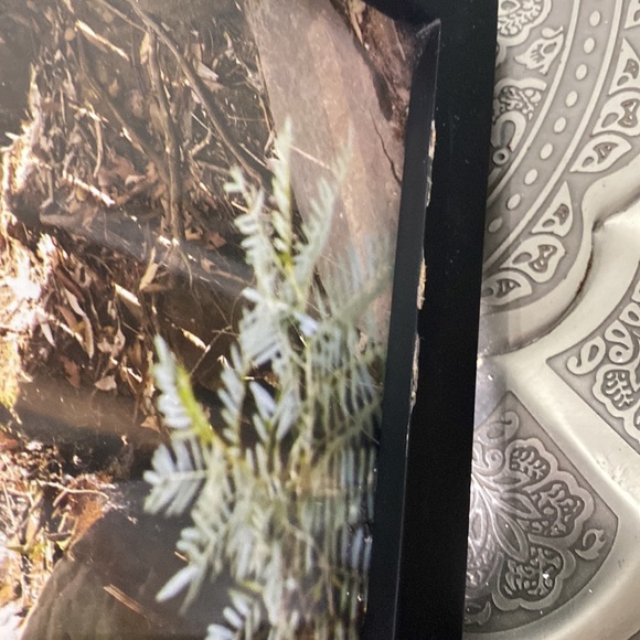 Picture Frame - Picture 5 of 5